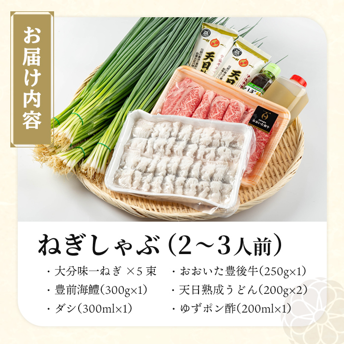 ねぎしゃぶ(6品)ねぎしゃぶ しゃぶしゃぶ 豊後牛 鱧 はも 鍋 お鍋 セット【101500301】【菊水旅館】