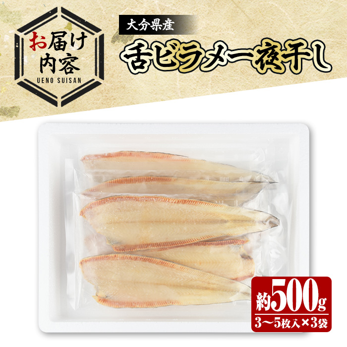 大分県産 舌ビラメ一夜干し(計約500g・3~5枚入×3袋) 魚介 ヒラメ 冷凍 一夜干し 甘塩 干物 勝負めし 【101900300】【上野水産】