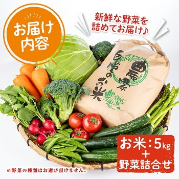 産地直送！宇佐のお米と季節の野菜詰合せ(お米5kg＋野菜詰め合わせ)米 お米 野菜 季節の野菜 詰合せ 安心院産 大分県産 勝負めし 【103700102】【小の岩の庄】