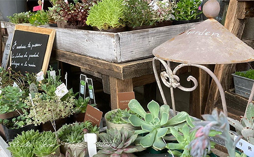 PEOPLESTATION ピープルステーション ギフト券(3,000円分・1,000円×3枚)カフェ ランチ 買い物 チケット ギフト券【104301200】【山添産業】