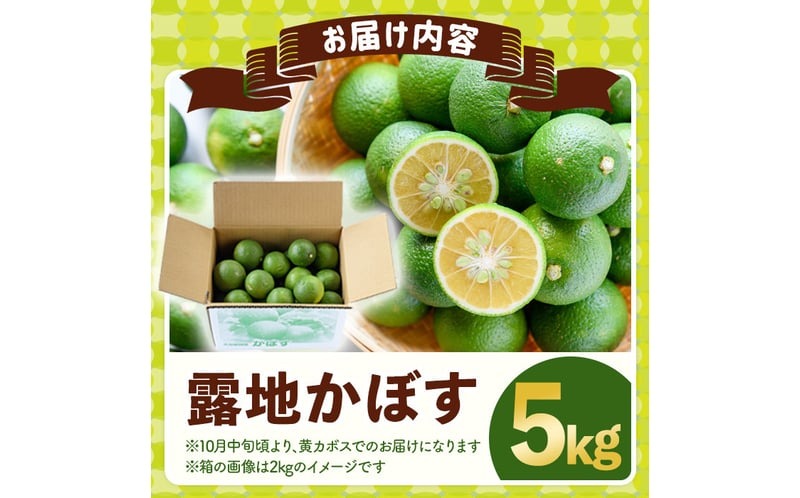 露地カボス(約5kg)かぼす カボス 柑橘 特産品 大分県産【107100402】【あいはな農園】