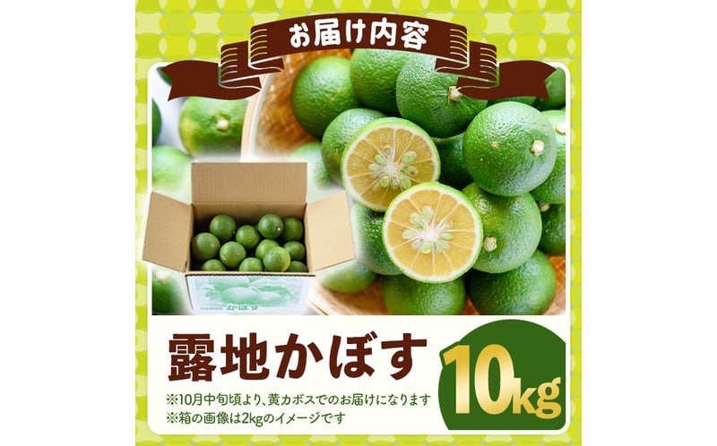露地カボス(約10kg)かぼす カボス 柑橘 特産品 大分県産【107100802】【あいはな農園】