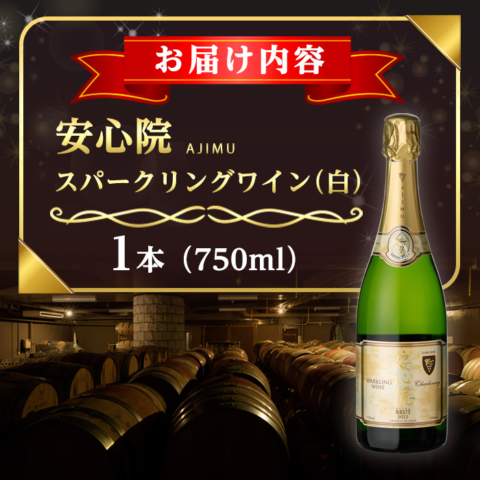 安心院スパークリングワイン 白(750ml)酒 お酒 ワイン 白ワイン スパークリングワイン アルコール 飲料 ぶどう 葡萄【107300501】【時枝酒店】