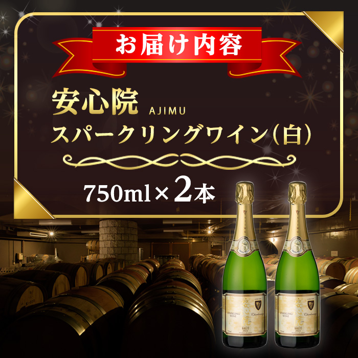 安心院スパークリングワイン 白(計1.5L・750ml×2本)酒 お酒 ワイン 白ワイン スパークリングワイン ぶどう 葡萄【107302602】【時枝酒店】