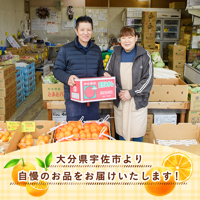 ＜先行予約受付中！2025年11月中旬から順次発送予定＞吉沢みかん(約10kg)みかん ミカン 蜜柑 柑橘 フルーツ 果物 くだもの 果実【108600101】【フルーツランド桐畑】