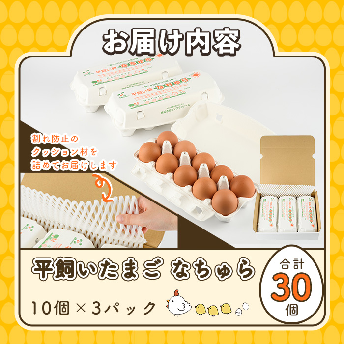 平飼い卵 なちゅら(計30個・10個×3P) 卵 玉子 鶏卵 卵かけご飯 玉子焼き【108800400】【カジワラファーム】