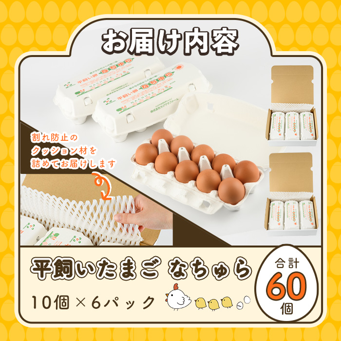 平飼い卵 なちゅら(計60個・10個×6P) 卵 玉子 鶏卵 卵かけご飯 玉子焼き【108800500】【カジワラファーム】