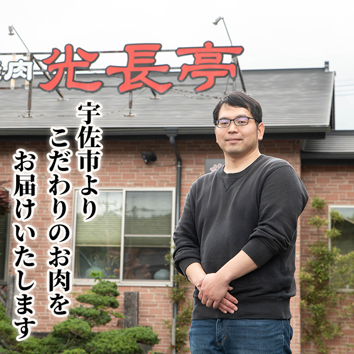 豊後牛 サーロインサイコロステーキ+切り落とし肉(合計600g)牛肉 お肉 サーロインステーキ 切り落とし【109900700】【ショッピングストアー光長】