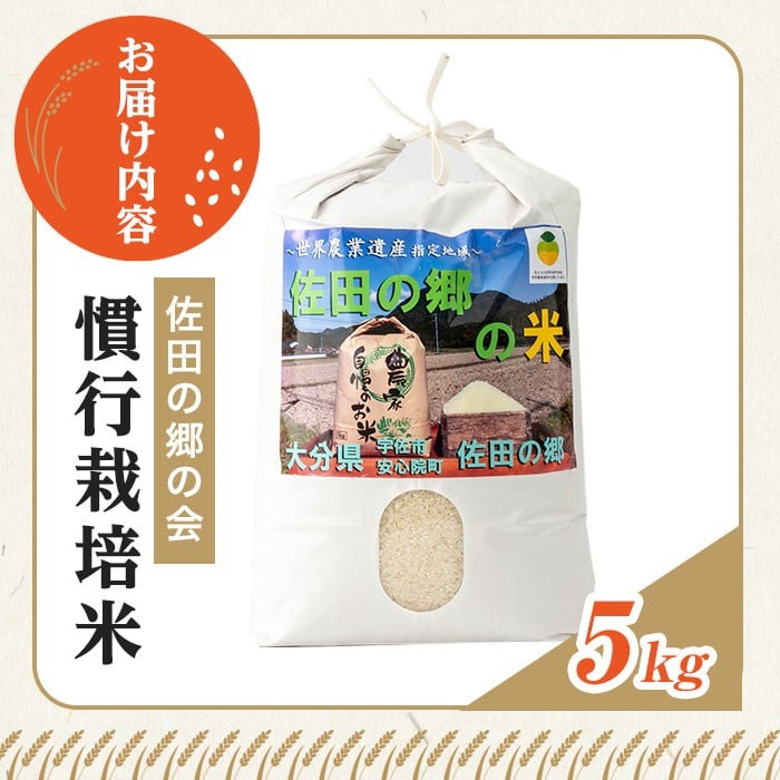 ＜新米・令和7年産＞佐田の郷の米 慣行栽培米(5kg) お米 白米 ごはん ヒノヒカリ ひのひかり ブランド米 常温 常温保存【111700104】【雅設置プロジェクト　佐田の郷の会】
