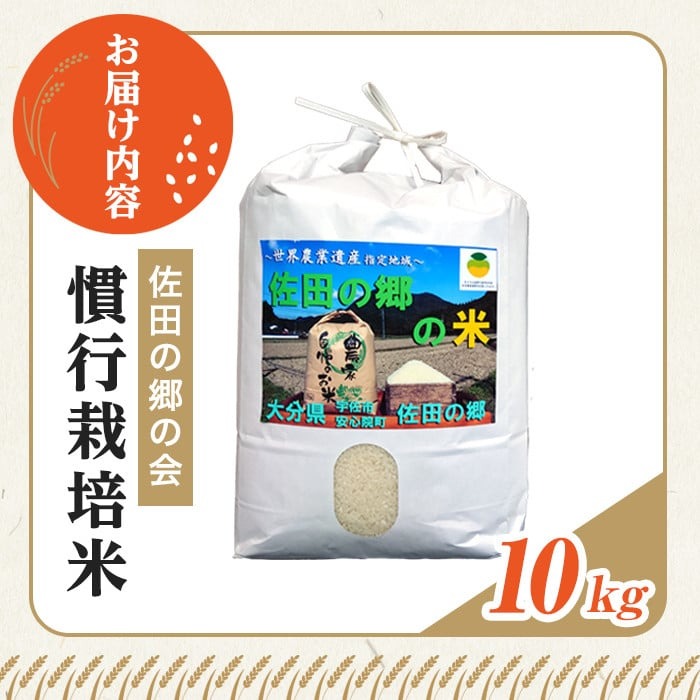 ＜新米・令和7年産＞佐田の郷の米 慣行栽培米(10kg) お米 白米 ごはん ヒノヒカリ ひのひかり ブランド米 常温 常温保存【111700204】【雅設置プロジェクト　佐田の郷の会】
