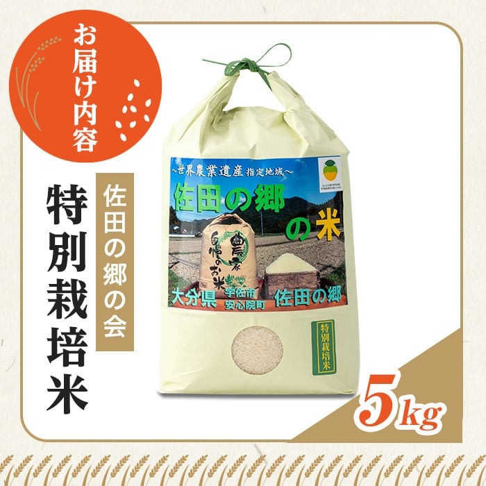 ＜新米・令和7年産＞佐田の郷の米 特別栽培米(5kg)お米 白米 ごはん ヒノヒカリ ひのひかり ブランド米 常温 常温保存【111700704】【雅設置プロジェクト　佐田の郷の会】