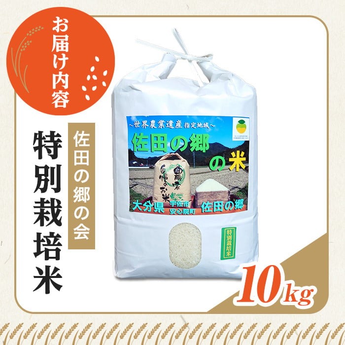 ＜新米・令和7年産＞佐田の郷の米 特別栽培米(10kg)お米 白米 ごはん ヒノヒカリ ひのひかり ブランド米 常温 常温保存【111700804】【雅設置プロジェクト　佐田の郷の会】