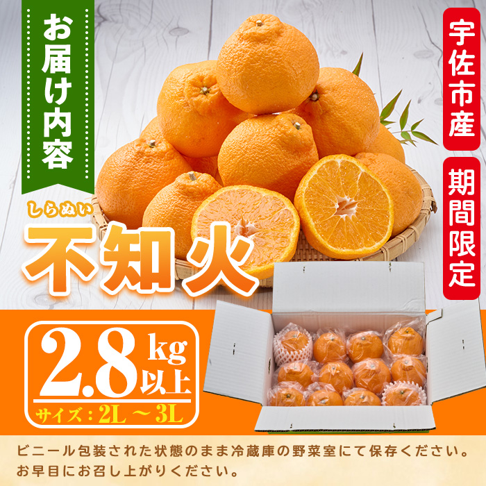 ＜先行予約受付中！2026年3月上旬～4月上旬の間に発送予定＞不知火(2L～3L・2.8kg～)みかん フルーツ しらぬい 柑橘 ミカン【113300300】【谷崎美眞子果樹園】