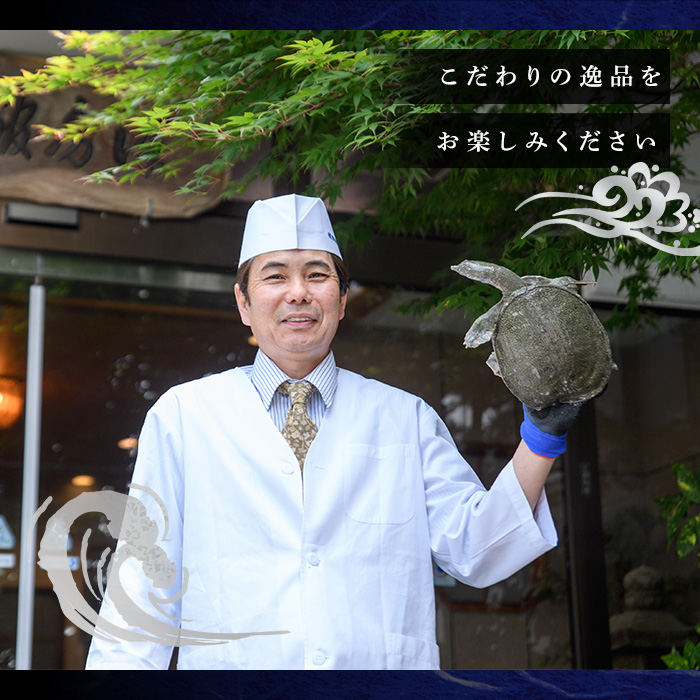 すっぽんの里安心院のすっぽん雑炊セット(計750g・250g×3本)ぞうすい 安心院産 化粧箱入り【113400200】【津房館】