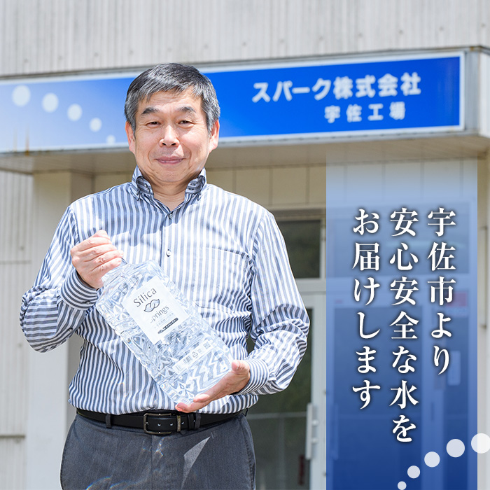 シリカスプリングス(計12L・500ml×24本)シリカ水 天然水 美容 健康 炭酸水素イオン 常温 常温保存 【114700700】【スパーク】