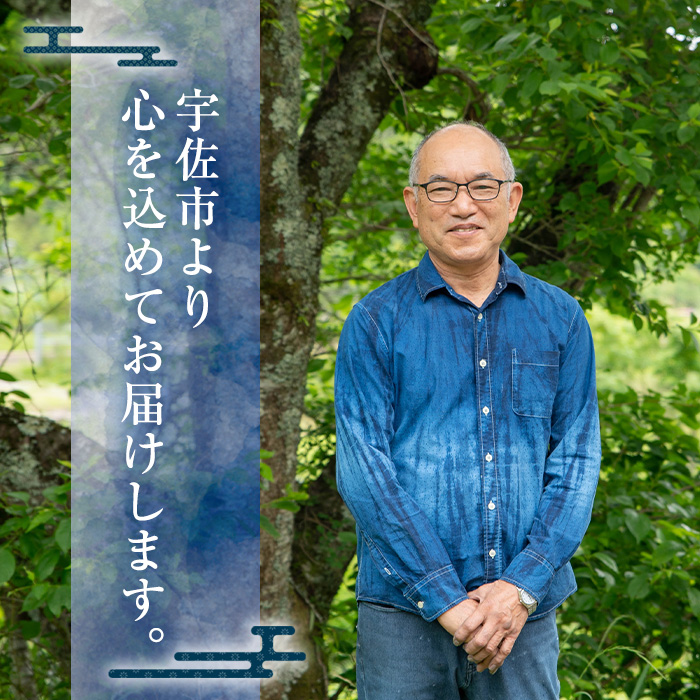 タペストリー 藍染絞り 宙(そら)(78×168cm)工芸品 藍染 染物 木綿 手作り【115101500】【染工房　芳心庵】