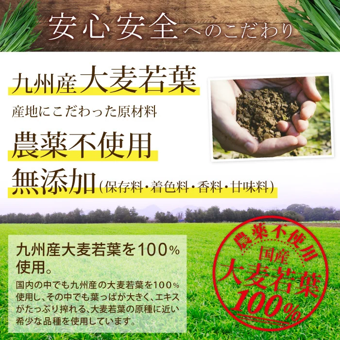 極濃青汁(計90g・3g×30包) 青汁 大麦若葉 乳酸菌 酵素 国産野菜 コラーゲン 腸内環境 腸活 常温【115400101】【無塩ドットコム】