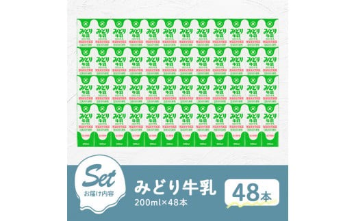 みどり牛乳(200ml×48本) 常温 保存 ミルク 生乳 長期保存 ロングライフ 乳製品 防災 災害 備蓄【115700101】【九州乳業】