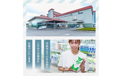 みどり牛乳(1000ml×12本) 常温 保存 ミルク 生乳 長期保存 ロングライフ 乳製品 防災 災害 備蓄【115700201】【九州乳業】