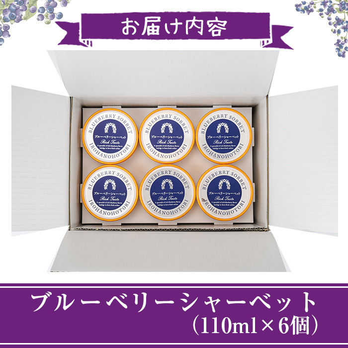 ブルーベリーシャーベット(計660ml・110ml×6個) シャーベット アイスクリーム ソルベ フルーツ ブルーベリー 果物 スイーツ デザート おやつ 勝負めし 【116500300】【藍苺GARDEN イロハノホトリ】