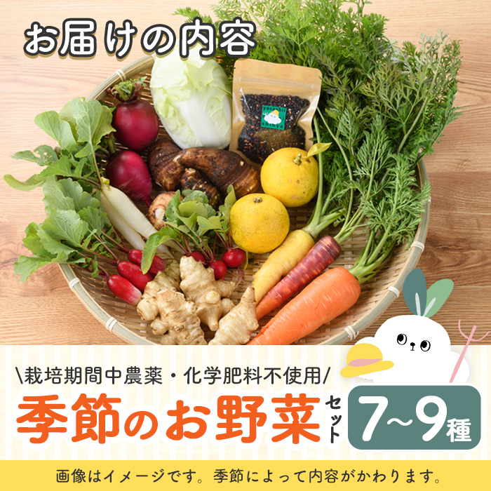 季節のお野菜 セット(7～9種) 野菜 やさい 詰合せ 詰め合わせ 季節 おまかせ お楽しみ【117000100】【やさしいお野菜 しん屋】
