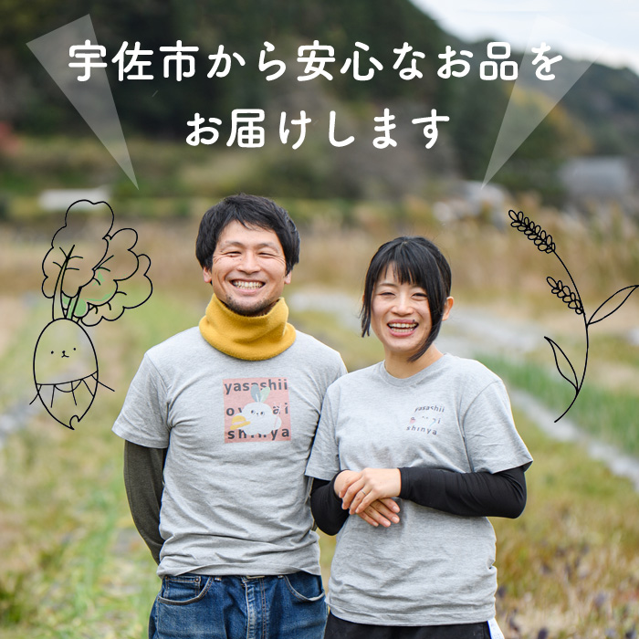 米粉のロールケーキ(1本・20cm) ケーキ ロールケーキ お菓子 おやつ スイーツ 洋菓子 米粉 冷凍【117000200】【やさしいお野菜 しん屋】