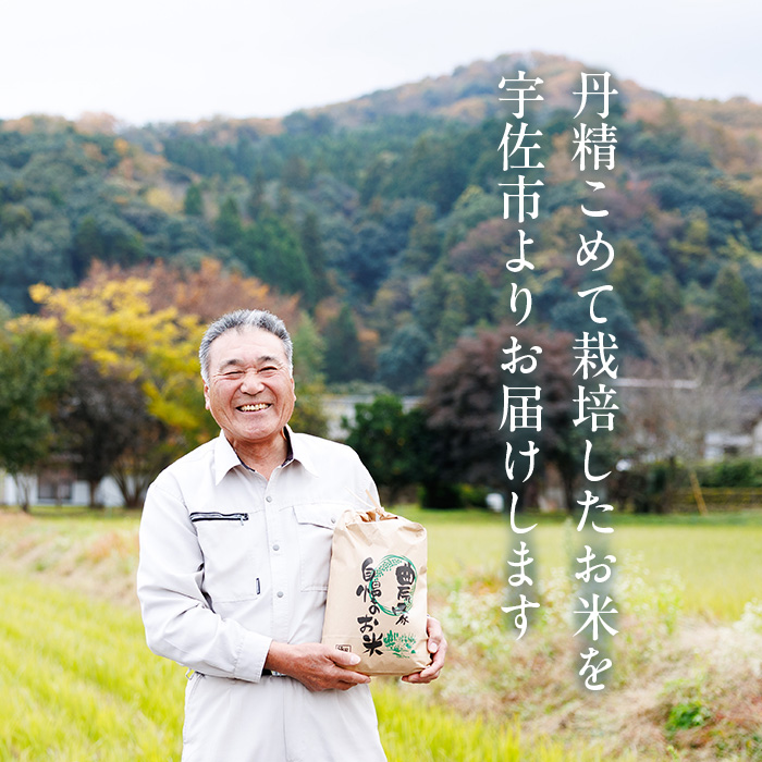 ヒノヒカリ 白米 (5kg) お米 ごはん ご飯 ひのひかり 数量限定 【118300300】【真田　定二】