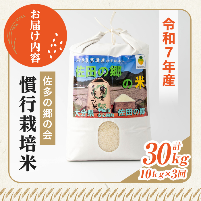 ＜令和7年産＞＜定期便・総３回＞佐田の郷の米 慣行栽培米(計30kg) お米 白米 ごはん ヒノヒカリ ひのひかり ブランド米 常温 常温保存【211700300】【雅設置プロジェクト　佐田の郷の会】