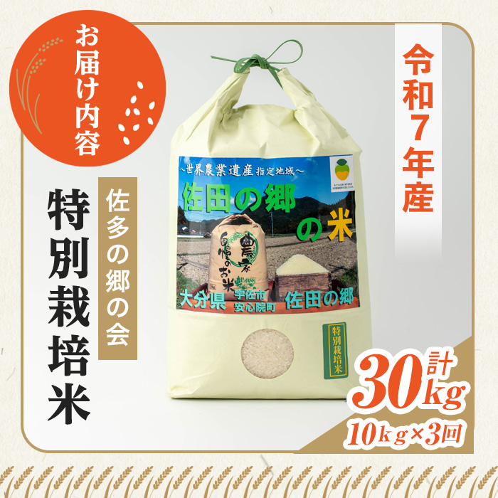 ＜定期便・総３回＞＜令和7年産＞佐田の郷の米 特別栽培米(計30kg)お米 白米 ごはん ヒノヒカリ ひのひかり ブランド米 常温 常温保存【211700800】【雅設置プロジェクト　佐田の郷の会】