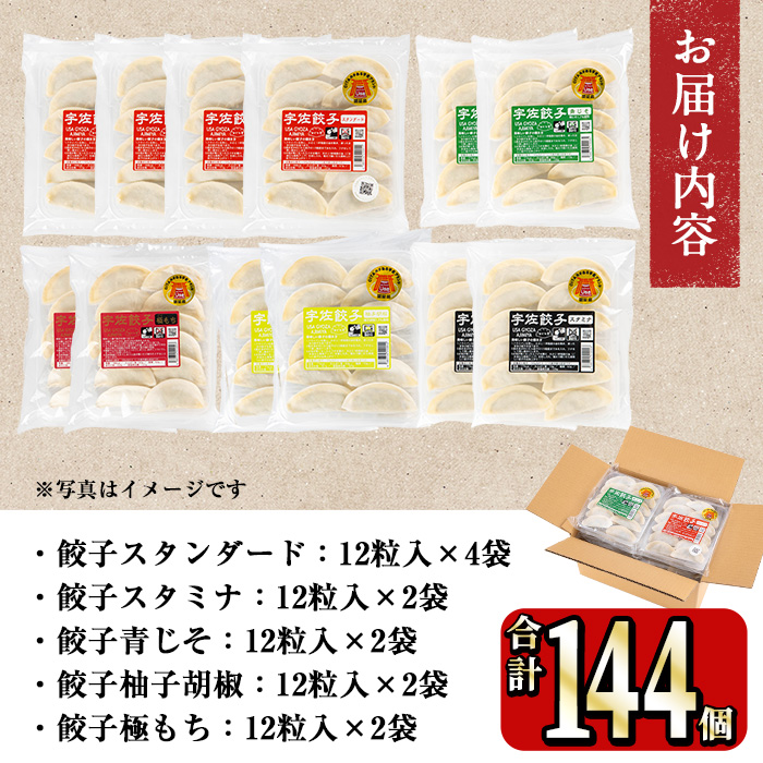 味深屋の宇佐餃子よりどりセット(合計12袋・5種)餃子 ぎょうざ 簡単 惣菜 おかず おつまみ 簡単調理 焼くだけ 食べ比べ セット【104200200】【ＮＰＯ法人 結び恵会】