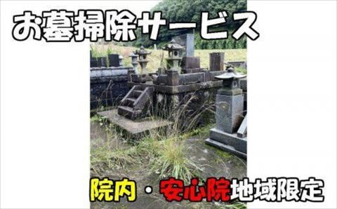 お墓掃除サービス(宇佐市院内、安心院内限定)掃除 清掃 代行 お墓 地域限定【107200100】【NPO法人　スポーツクラブグレートサラマンダー】