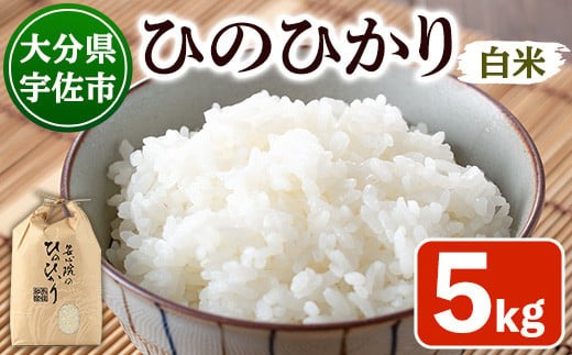 ＜新米・令和7年産＞安心院産ひのひかり 精米 (5kg) 米 お米 ひのひかり ヒノヒカリ 精米 白米 ご飯 大分県産【101200102】【百姓和楽】