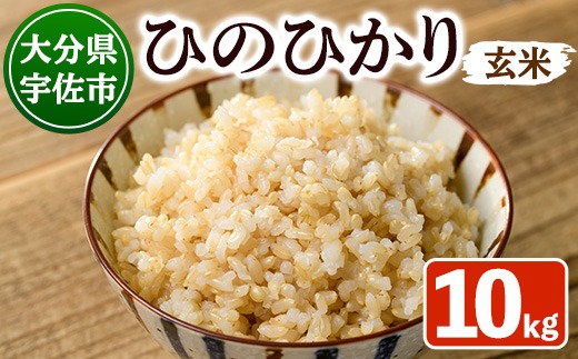  ＜新米・令和7年産＞安心院産ひのひかり 玄米 (10kg) 米 お米 ひのひかり ヒノヒカリ 玄米 ご飯 大分県産【101200202】【百姓和楽】