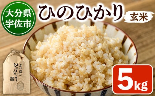 ＜新米・令和7年産＞安心院産ひのひかり 玄米 (5kg) 米 お米 ひのひかり ヒノヒカリ 玄米 ご飯 大分県産【101200701】【百姓和楽】