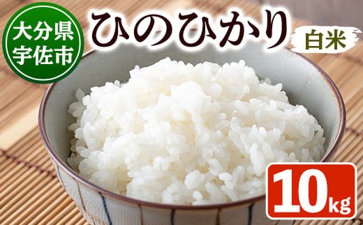＜新米・令和7年産＞安心院産ひのひかり 精米 (10kg) 米 お米 ひのひかり ヒノヒカリ 精米 白米 ご飯 大分県産【101200801】【百姓和楽】
