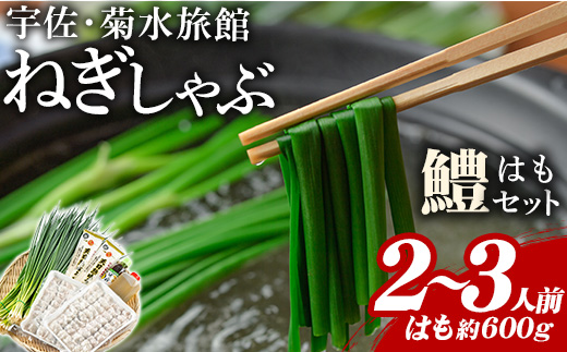 ねぎしゃぶ(鱧はも)セット(5品)ねぎしゃぶ しゃぶしゃぶ 鱧 はも 鍋 お鍋 うどん付き セット【101500201】【菊水旅館】