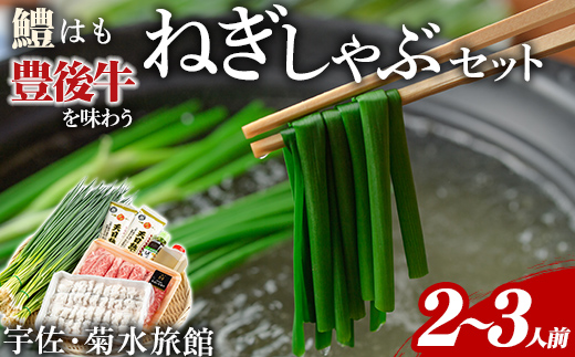 ねぎしゃぶ(6品)ねぎしゃぶ しゃぶしゃぶ 豊後牛 鱧 はも 鍋 お鍋 セット【101500301】【菊水旅館】