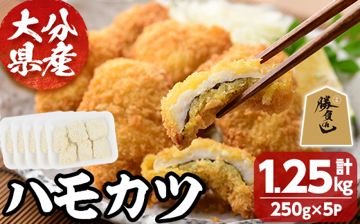 ハモカツ(計1.25kg・250g×5P) 鱧 はも 冷凍 惣菜 カツ 揚げるだけ フライ おかず 勝負めし 【101900700】【上野水産】