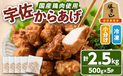 サクッとジューシー宇佐から揚げセット(計2.5kg・500g×5P)唐揚げ から揚げ 簡単 冷凍 惣菜 お弁当 おかず おつまみ 揚げるだけ セット 勝負めし【102000700】【サンセイ　安心院ソーセージ】