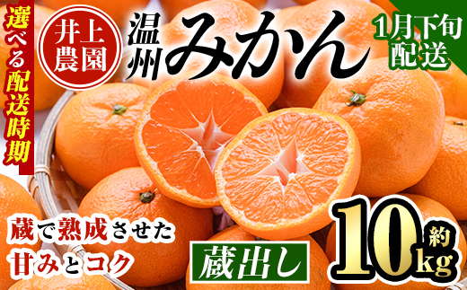 ＜先行予約受付中！1月下旬より順次発送予定＞大分県宇佐市産 蔵出し みかん(約10kg)ミカン 蜜柑 柑橘 フルーツ 果物 くだもの 果実 国産 熟成【103690200】【井上農園】