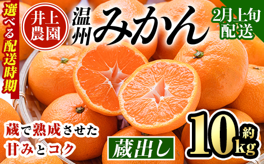＜先行予約受付中！2月上旬より順次発送予定＞大分県宇佐市産 蔵出し みかん(約10kg)ミカン 蜜柑 柑橘 フルーツ 果物 くだもの 果実 国産 熟成【103690300】【井上農園】