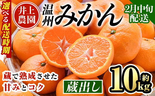 ＜先行予約受付中！2月中旬より順次発送予定＞大分県宇佐市産 蔵出し みかん(約10kg)ミカン 蜜柑 柑橘 フルーツ 果物 くだもの 果実 国産 熟成【103690400】【井上農園】