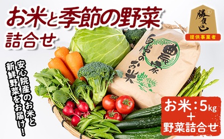 産地直送！宇佐のお米と季節の野菜詰合せ(お米5kg＋野菜詰め合わせ)米 お米 野菜 季節の野菜 詰合せ 安心院産 大分県産 勝負めし 【103700102】【小の岩の庄】