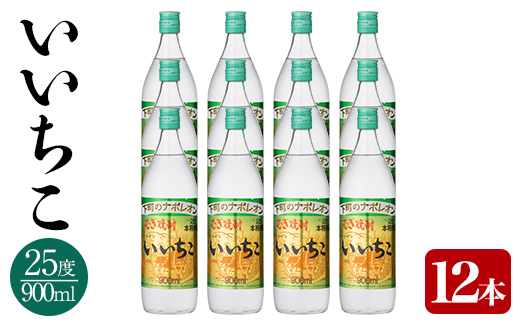 いいちこ ビン セット(計10.8L・900ml×12本)酒 お酒 むぎ焼酎 900ml 麦焼酎 いいちこ 常温 三和酒類 セット【104304500】【山添産業】