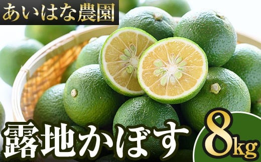 露地カボス(約8kg)かぼす カボス 柑橘 特産品 大分県産【107100702】【あいはな農園】