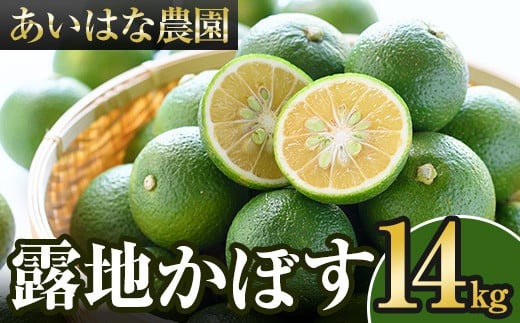 露地カボス(約14kg)かぼす カボス 柑橘 特産品 大分県産【107100902】【あいはな農園】
