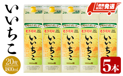 いいちこ 20度 パック(計9L・1.8L×5本)酒 お酒 むぎ焼酎 1800ml 麦焼酎 常温 いいちこ 三和酒類 紙パック【107303300】【時枝酒店】