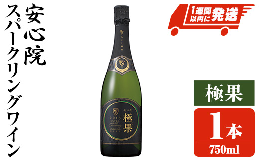 安心院スパークリングワイン 極果(熟成白)(750ml)酒 お酒 ワイン スパークリングワイン ぶどう 葡萄【107305200】【時枝酒店】