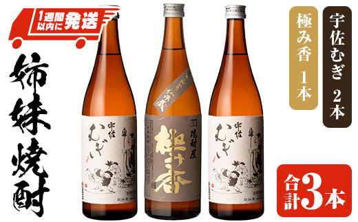 「極み香」「宇佐むぎ」姉妹焼酎セット (合酒 計2.16L・720ml×3本) お酒 麦焼酎 アルコール 飲料 常温 詰合せ 飲み比べ セット 四ツ谷酒造【107305900】【時枝酒店】