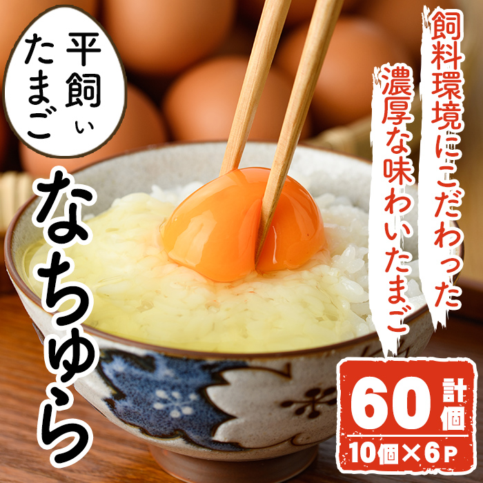 平飼い卵 なちゅら(計60個・10個×6P) 卵 玉子 鶏卵 卵かけご飯 玉子焼き【108800500】【カジワラファーム】